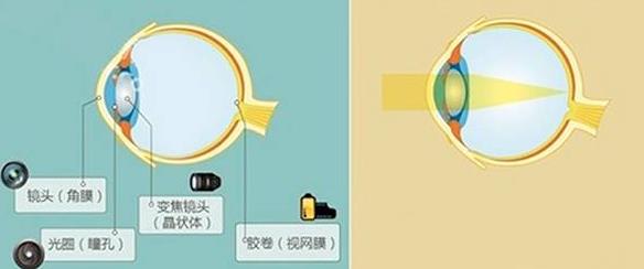 怎么佩戴老花鏡？驗(yàn)光 品牌 質(zhì)量 保養(yǎng)一個(gè)都不能少