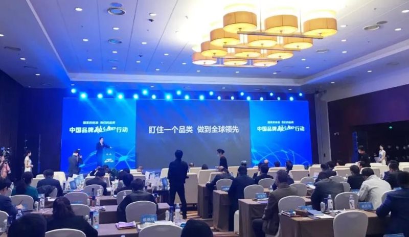 定了！美麗島進了國家隊，新華社專訪