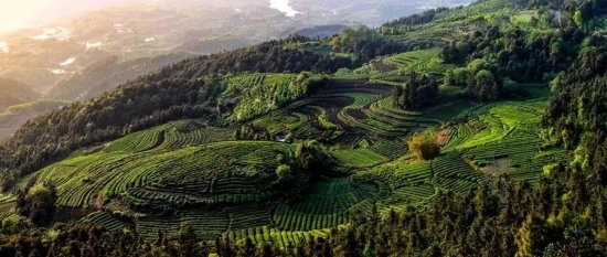 美麗島多焦鏡：這個(gè)明凈新春，以時(shí)間為軸，扶搖直上